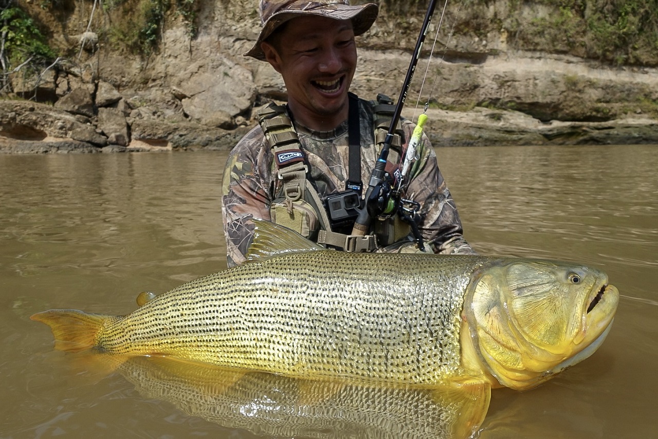 TULALA | Ford every stream | » El Horizonte 70