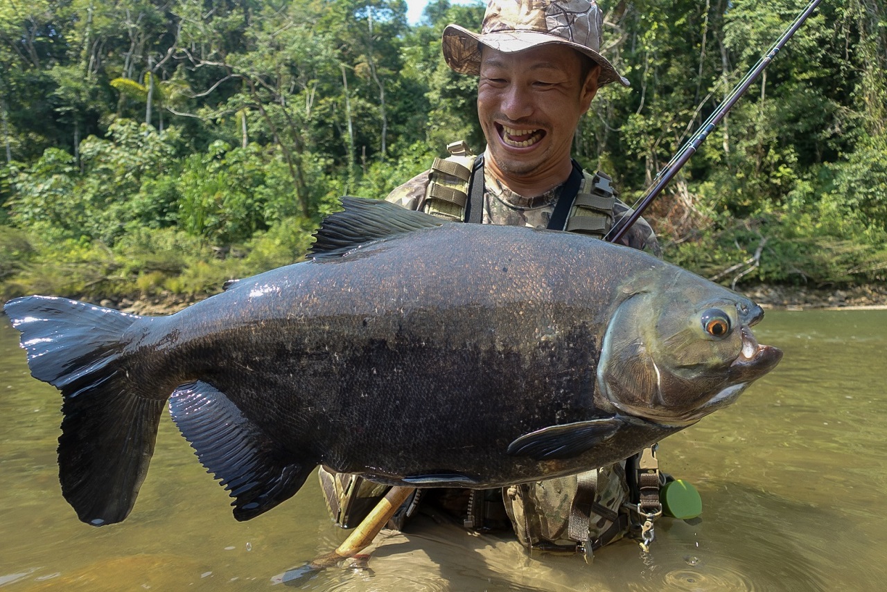 TULALA | Ford every stream | » El Horizonte 70