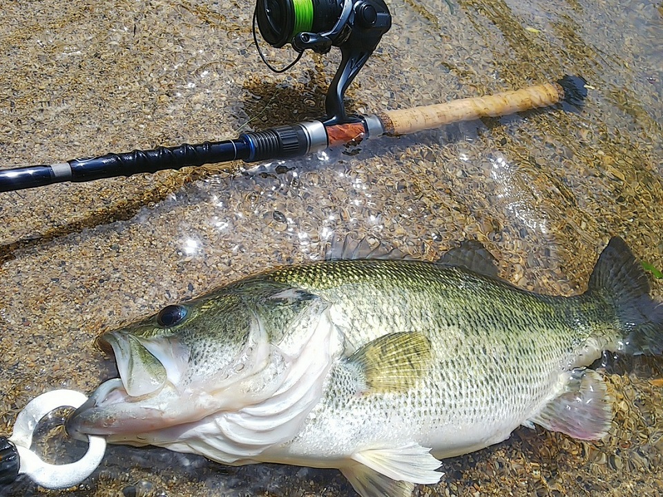 TULALA | Ford every stream | » 【STAFF】夜を意識した昼の釣りと