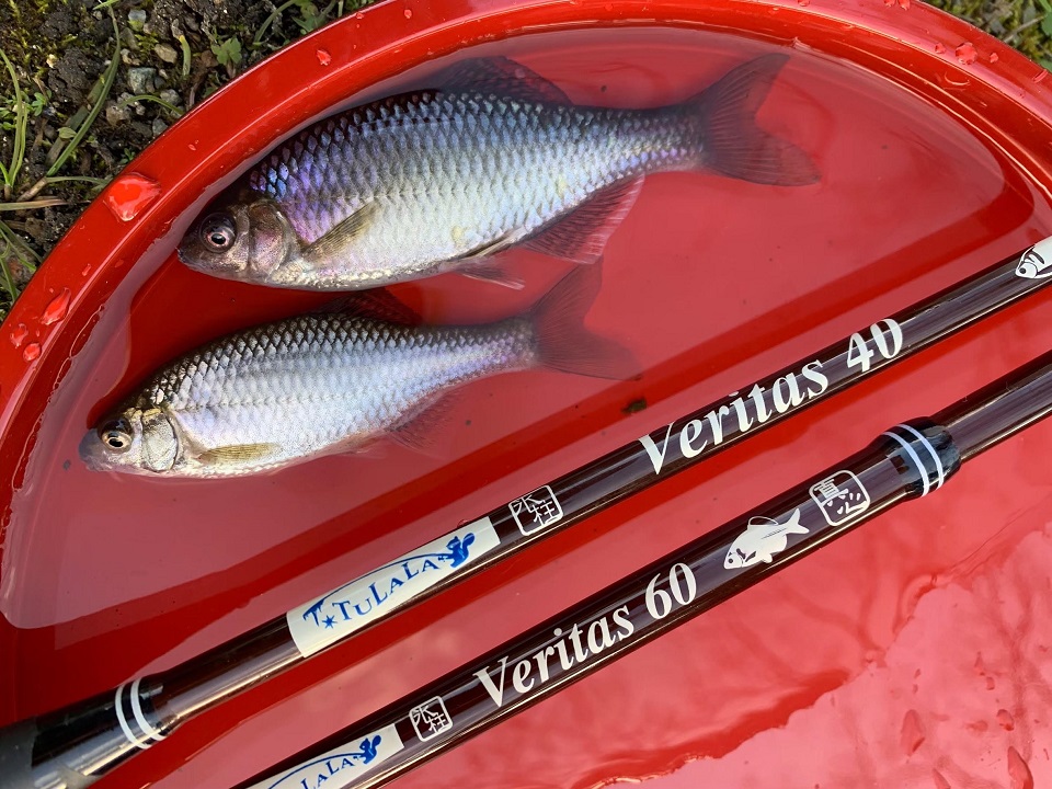 TULALA | Ford every stream | » 【公式】タナゴ&スモールターゲット