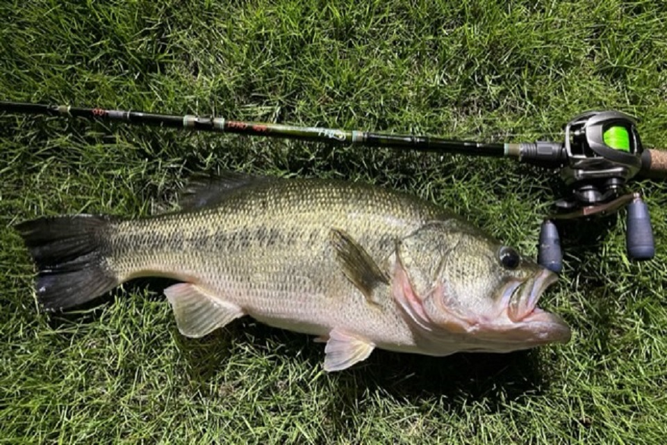 TULALA | Ford every stream | » 【STAFF】グラットンC86Mで楽しむ巻物