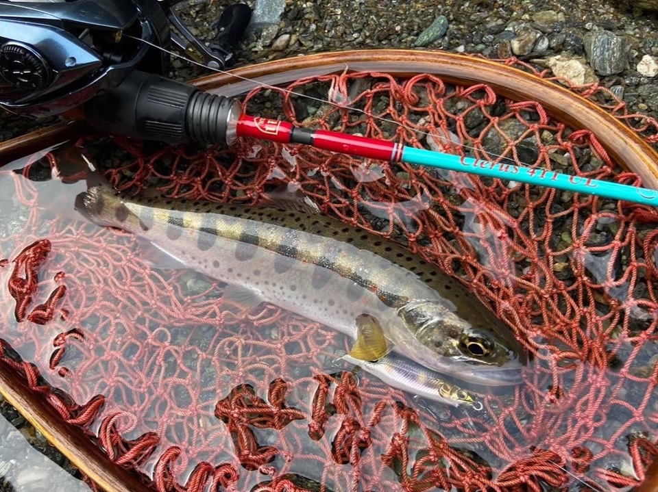 TULALA | Ford every stream | » 【公式】祝渓流解禁！Clerus411の