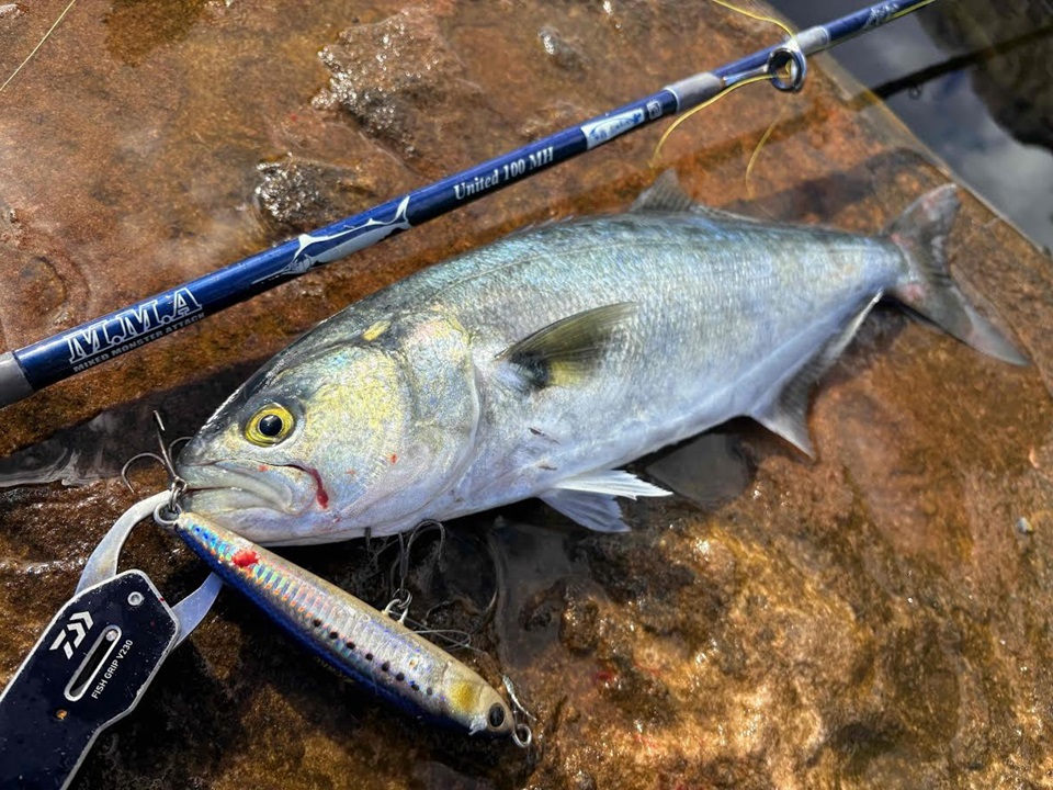 TULALA | Ford every stream | » 【STAFF】M.M.A United 100MH