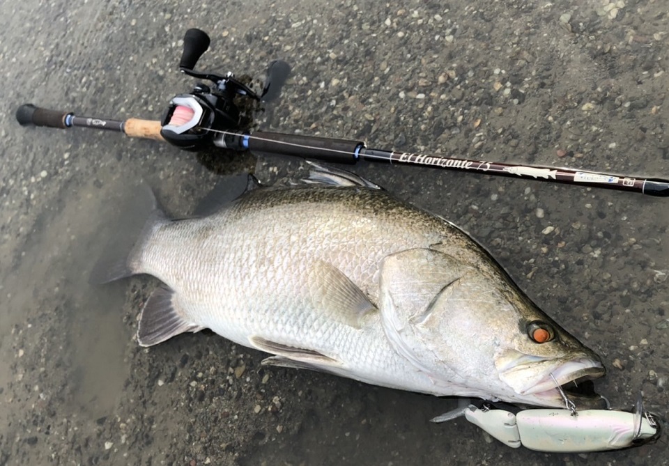 TULALA | Ford every stream | » El Horizonte 75