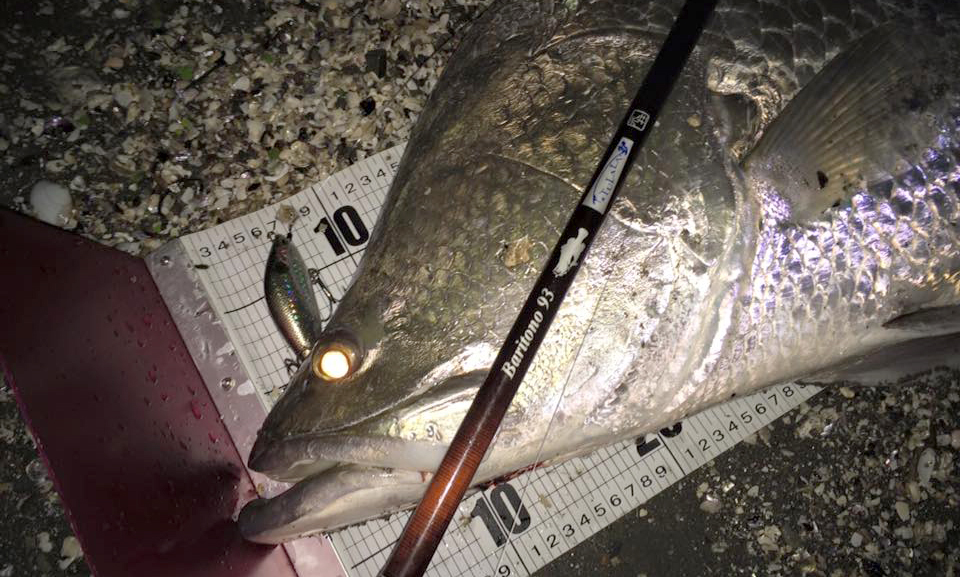 TULALA | Ford every stream | » Baritono 93