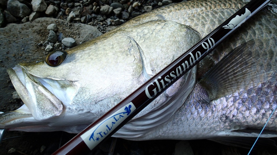 TULALA | Ford every stream | » Glissando 90