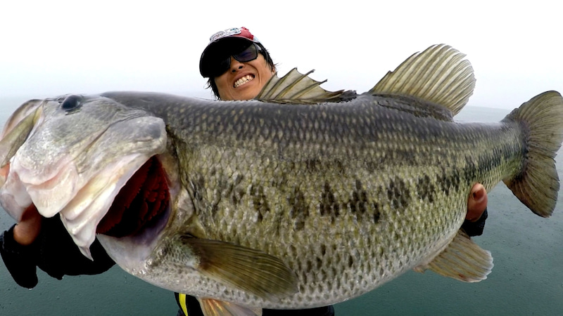 TULALA | Ford every stream | » Monstruo”ConceptDestruction” 77HSC