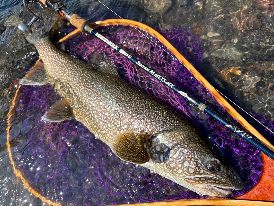 TULALA | Ford every stream | » 【STAFF】「スタッカート88元年」2024