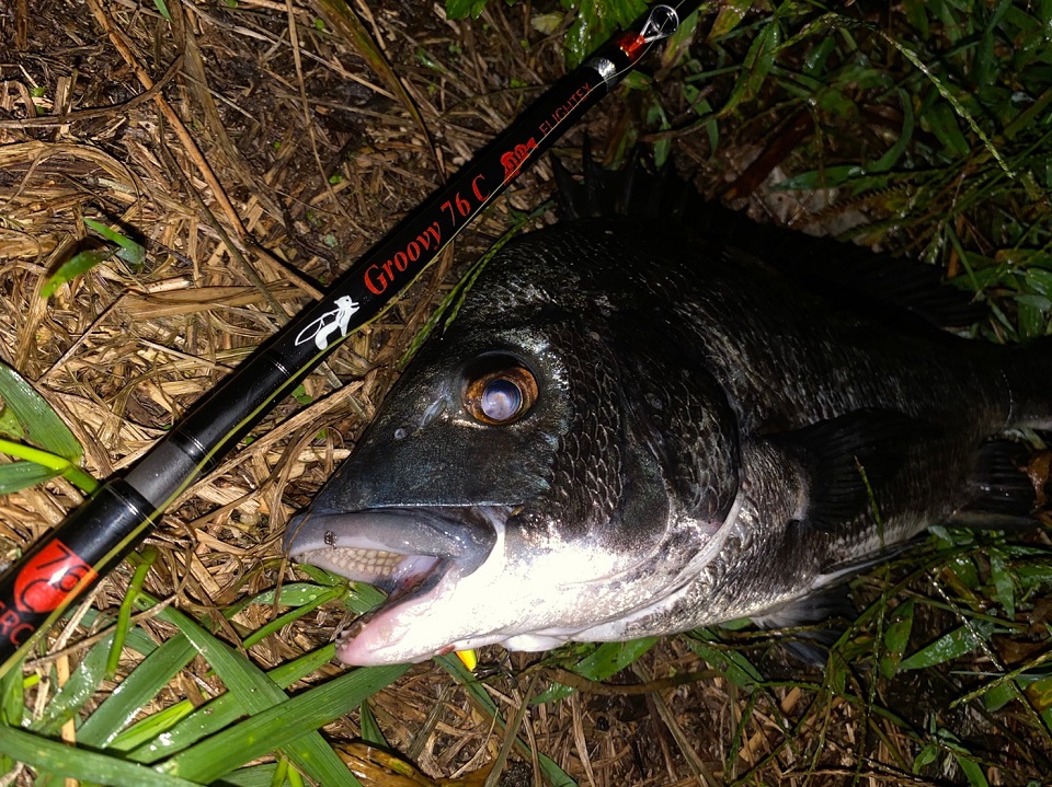 TULALA | Ford every stream | » Flightex Groovy 76C