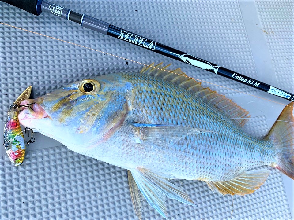 TULALA | Ford every stream | » M.M.A United 83 M