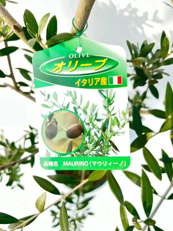 f13ef70b86f9bd4a41d290c7764f0e