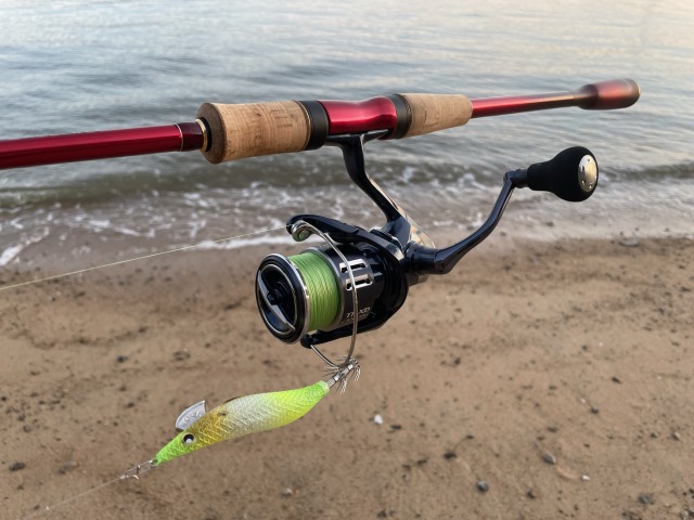 ワールドシャウラ2831】インプレ！エギング～青物まで使用感をお伝えし