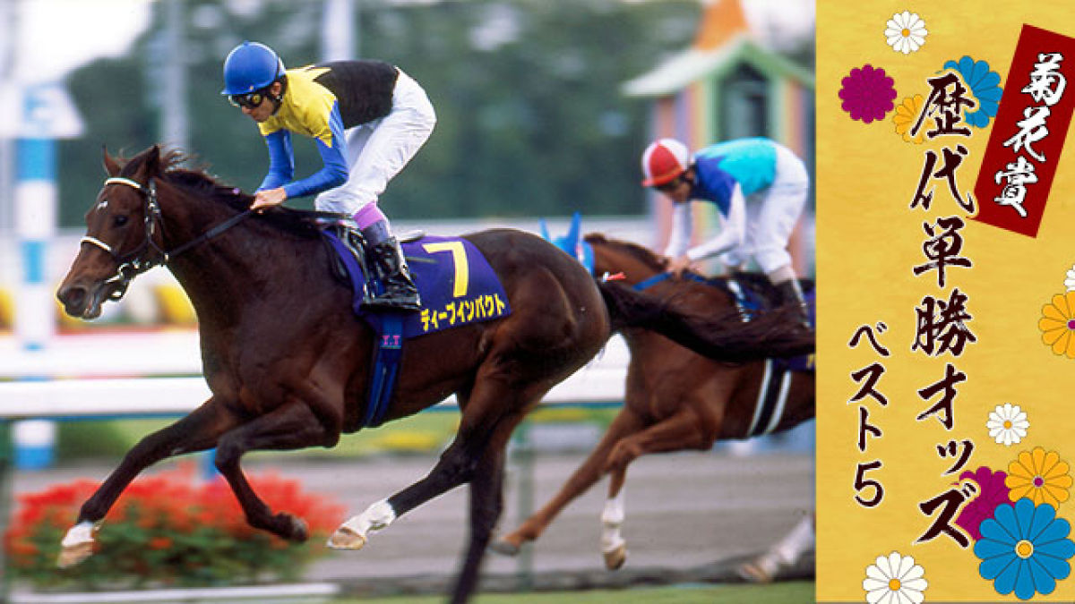 21世紀菊花賞勝利馬 単勝オッズ ベスト5！歴代No.1はあの英雄！ | 競馬