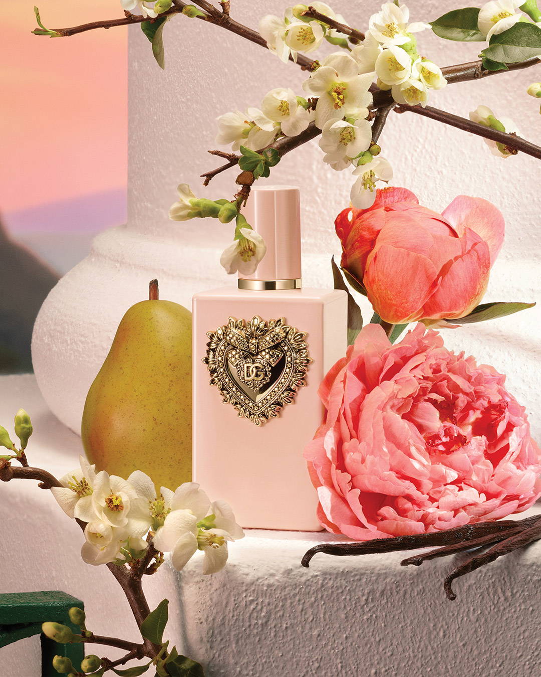 MY DEVOTION｜DOLCE＆GABBANA（ドルチェ＆ガッバーナ）