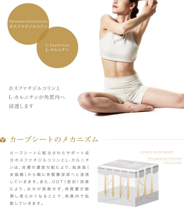 貼るだけエクササイズ 『カーブシート10枚/1箱』 二の腕 お腹 ウェスト