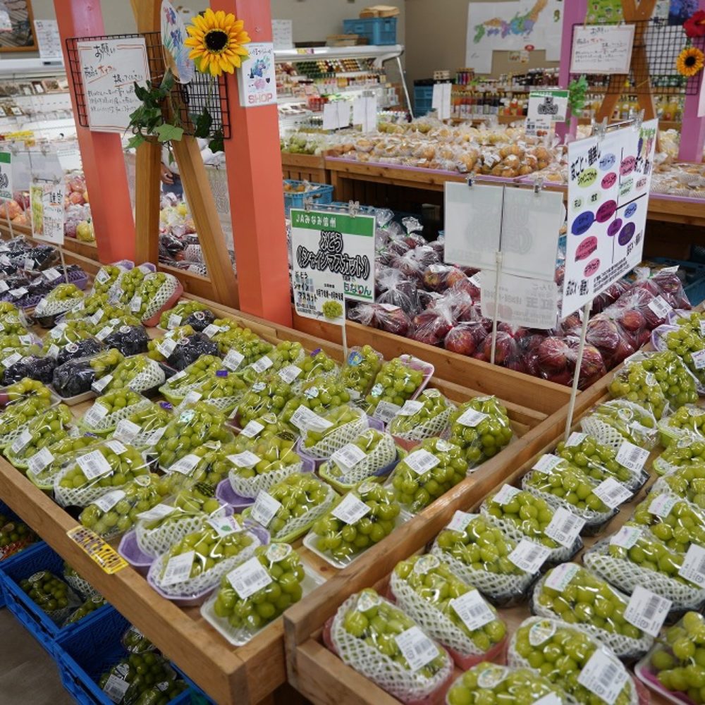 JAみなみ信州 松川インター直売所もなりん - うまいいだ 飯田グルメ