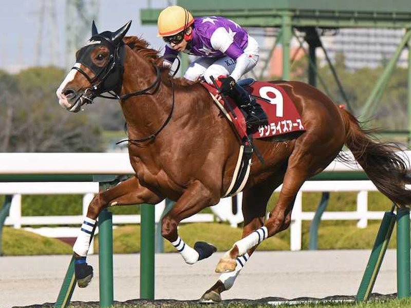 阪神大賞典2026特集｜競馬予想のウマニティ