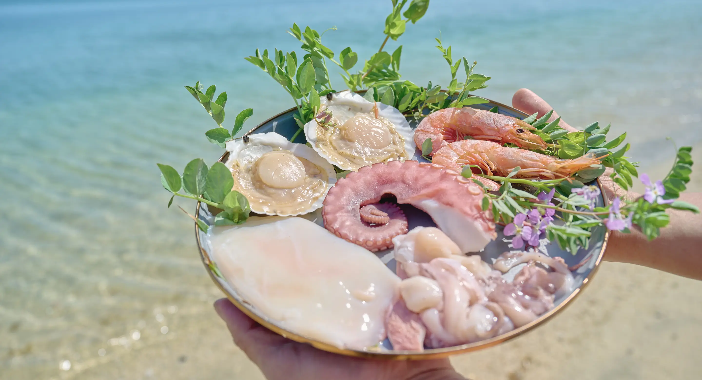 Umi to Taico ｜ せとうち太鼓の鼻ヴィレッジ