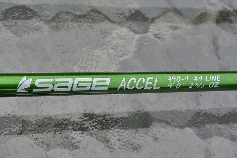 The Sage ACCEL: A selfish review - Unaccomplished Angler