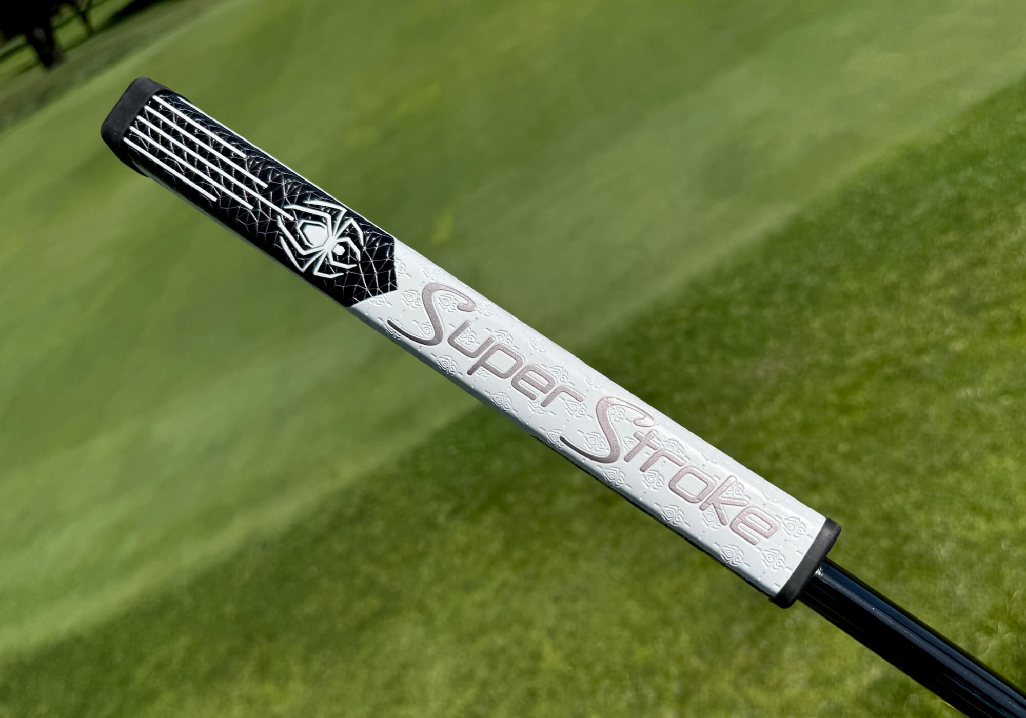 Your Friendly Neighborhood TaylorMade Spider ZT | MyGolfSpy