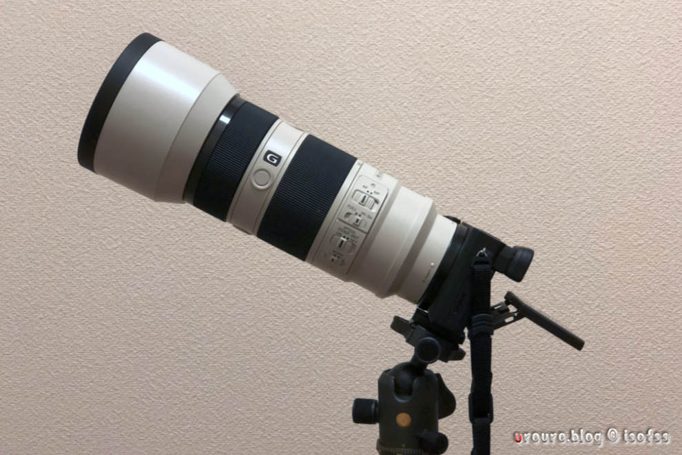 α6400相棒探しの旅。小型オールドレンズか？大砲SEL70200Gか？作例10枚