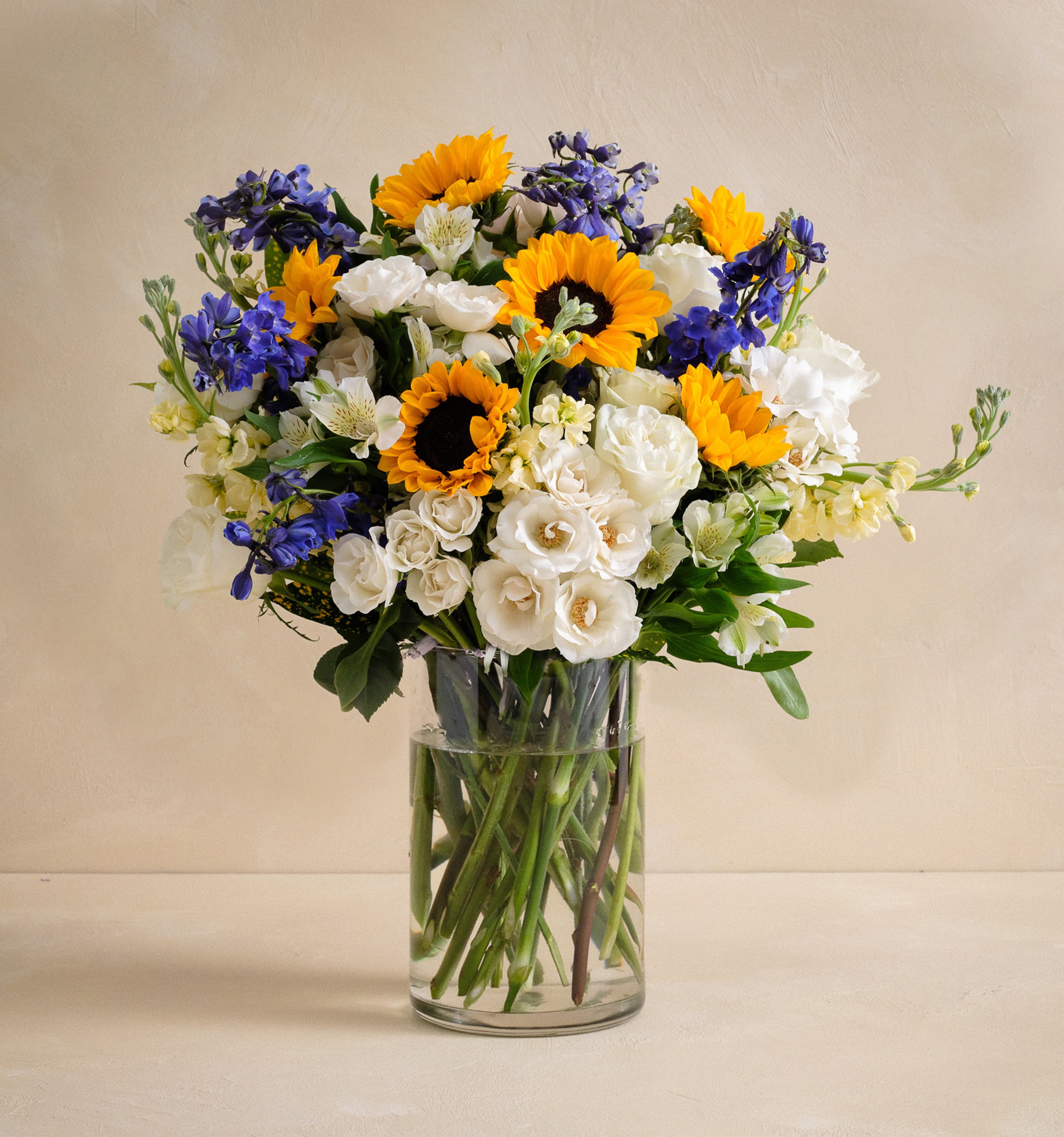 Double The Picket Fence | UrbanStems Flower Delivery