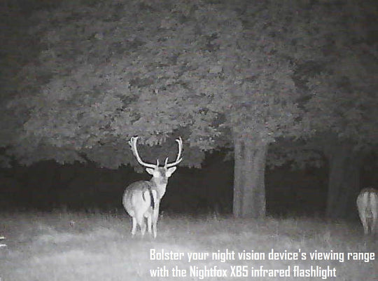 XB5 850NM Infrared Torch | Nightfox | UK