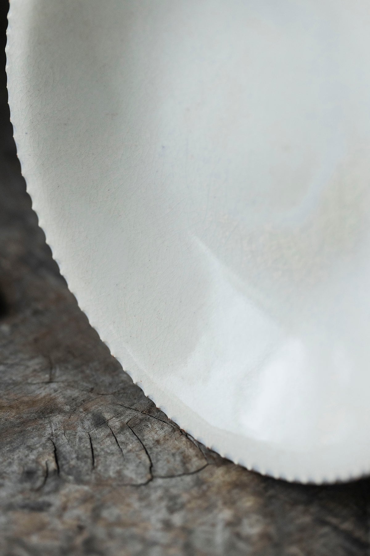 山田洋次 軟陶ホワイト 丸皿 中 Y2-1