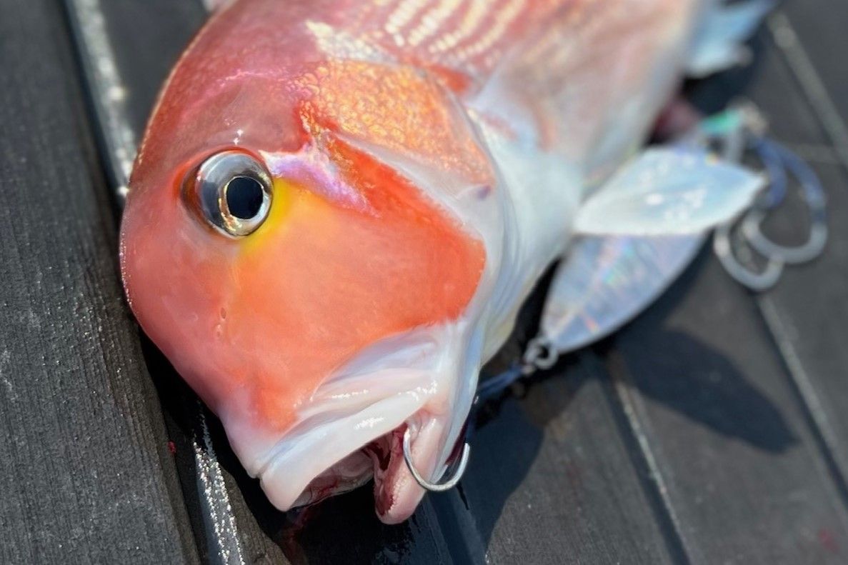 新ジギングフック「スピンブル フレックス」解説 - ヴァンフック