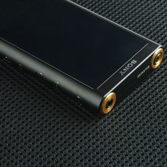 D737,D859：SONYウォークマン ZX300用 縦型キャリングケース／Type-A