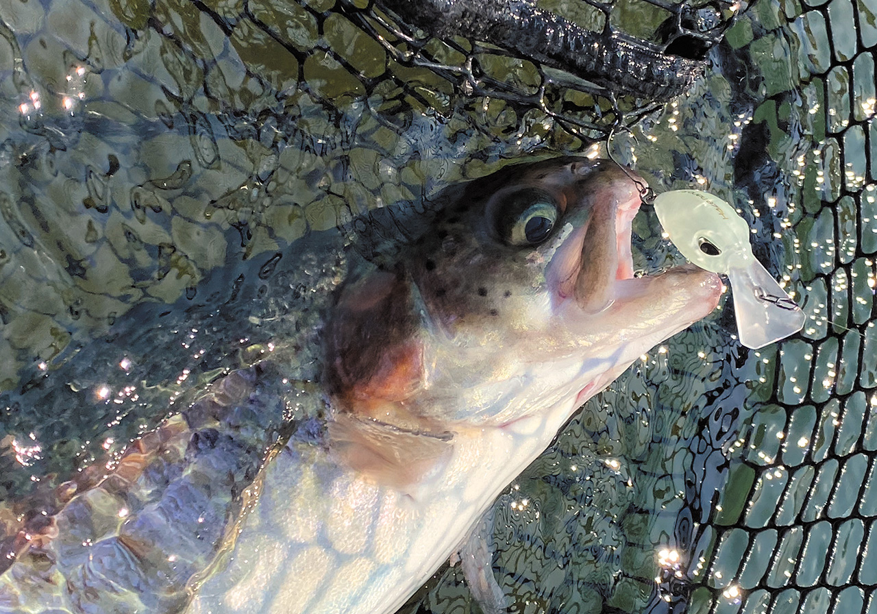 Haze nano F（ヘイズ ナノ フローティング） | HARDBAITS | ValkeIN