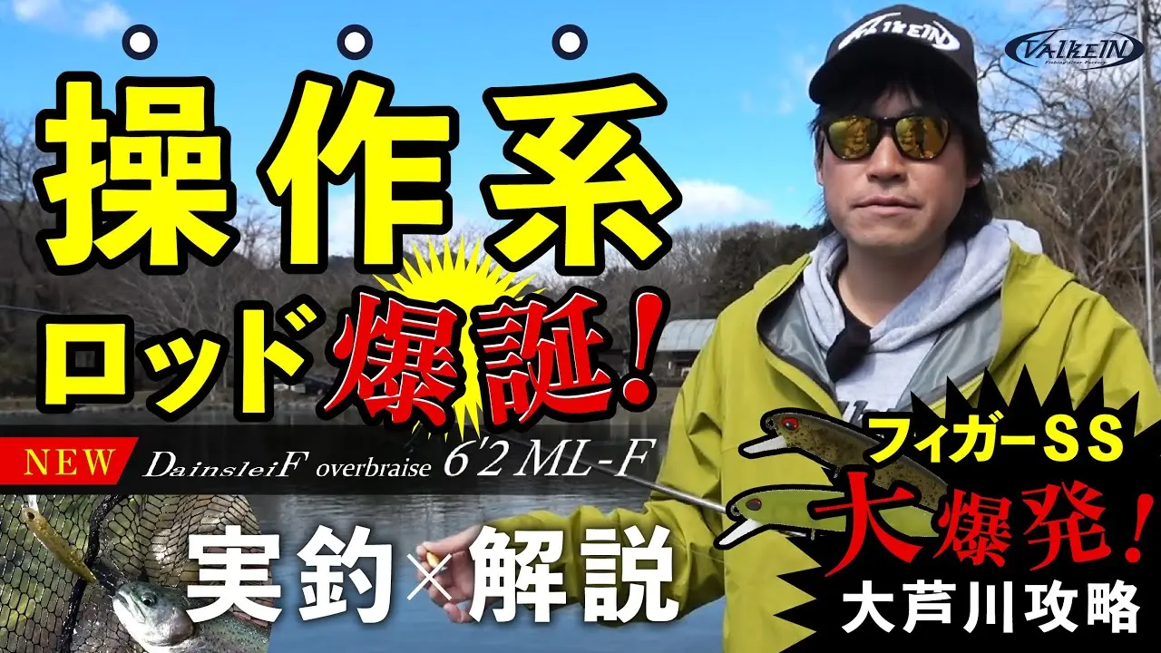 DainsleiF overbraise（ダーインスレイヴ オーバーブレイズ） | RODS