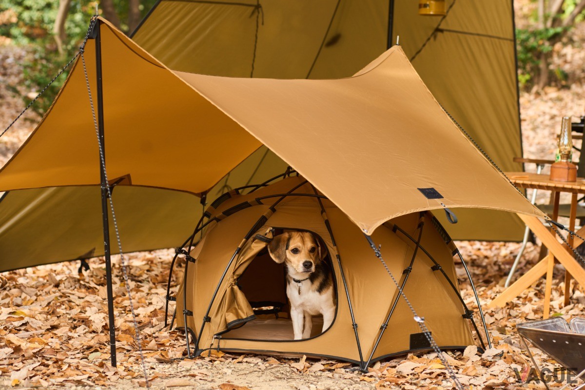 プレイ スカウト＆アバウトコレクション アウトドアテント モカ 犬用