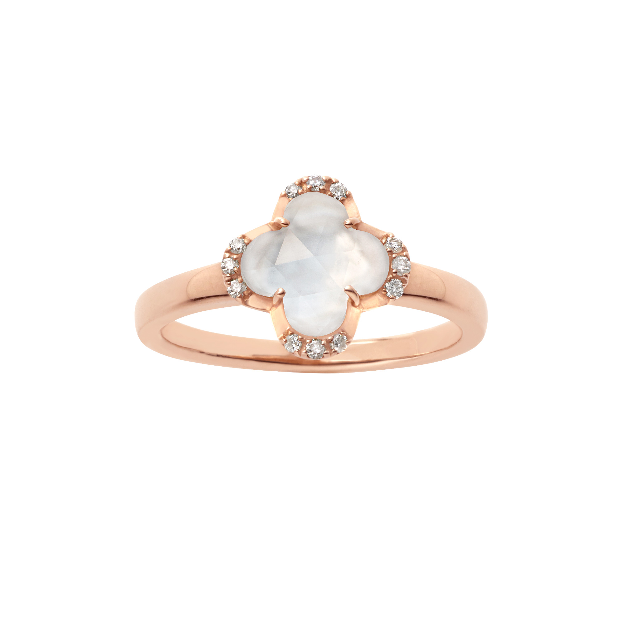 AGAR9705__QU_999_0_20240422140