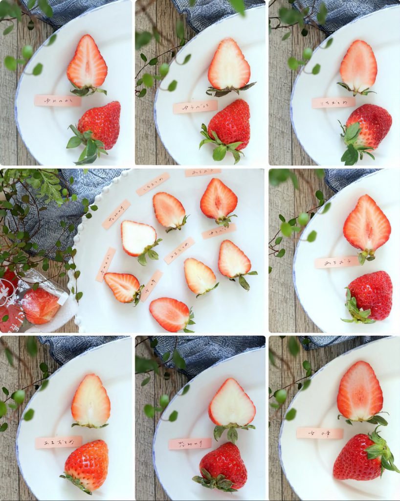 野菜ソムリエプロ齋藤珠美の「断面で選ぶ！イチゴの魅力再発見