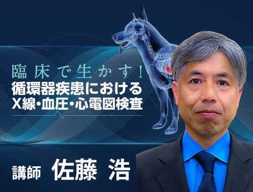 臨床で生かす！循環器疾患におけるX線・血圧・心電図検査|VetMovie 獣