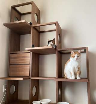 ペットシェルフ(コネクト5段 MBR) | ニトリネット【公式】 家具