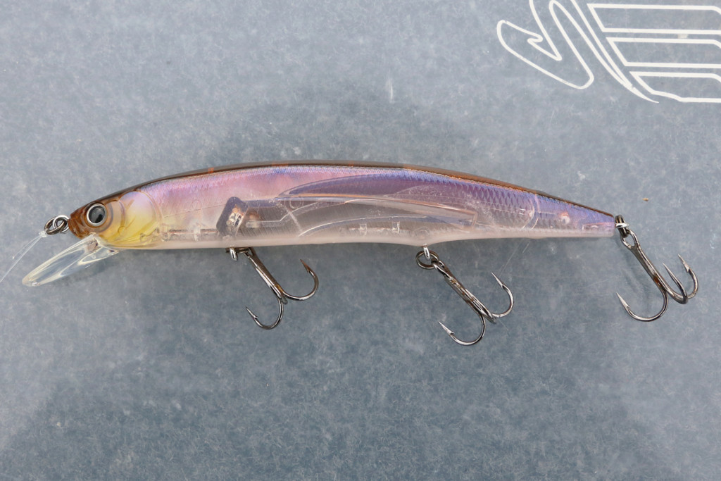 南湖LOVER vol.3】小粒な力持ち系ジャークベイト登場！ | 釣りの総合