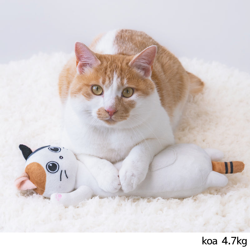 キャットキッカー Free Solgra TOY -ソルグラ トイ- 猫用おもちゃ