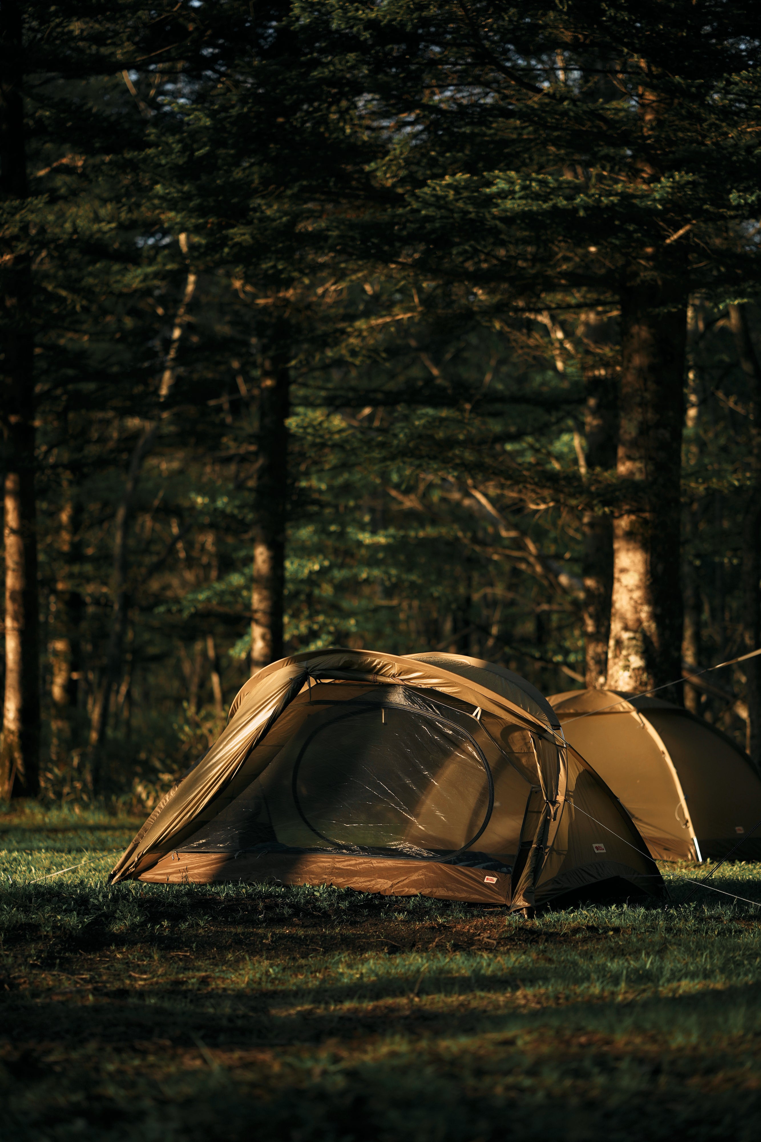 Fjallraven / Abisko View 2 – wanderout