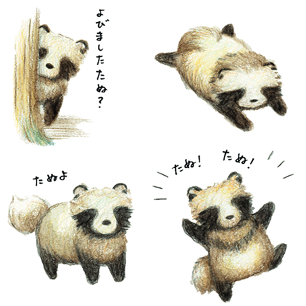 たぬたぬ」 | Waka official site