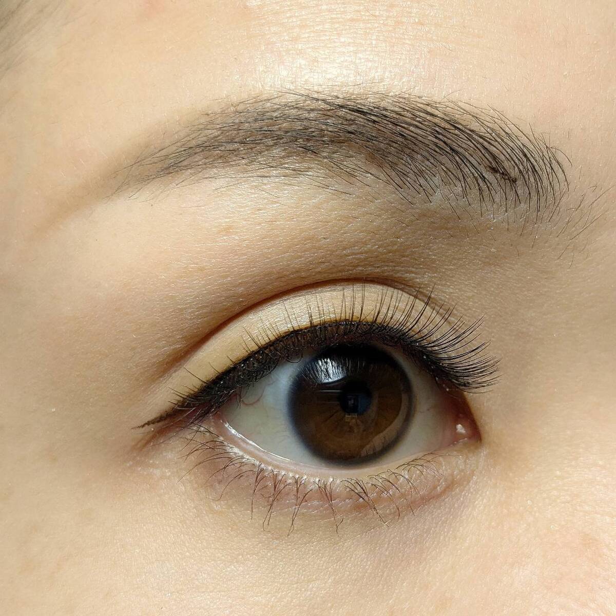 付けまつ毛 LJ 3D つけまつげ 05 華やかブラウン 044684