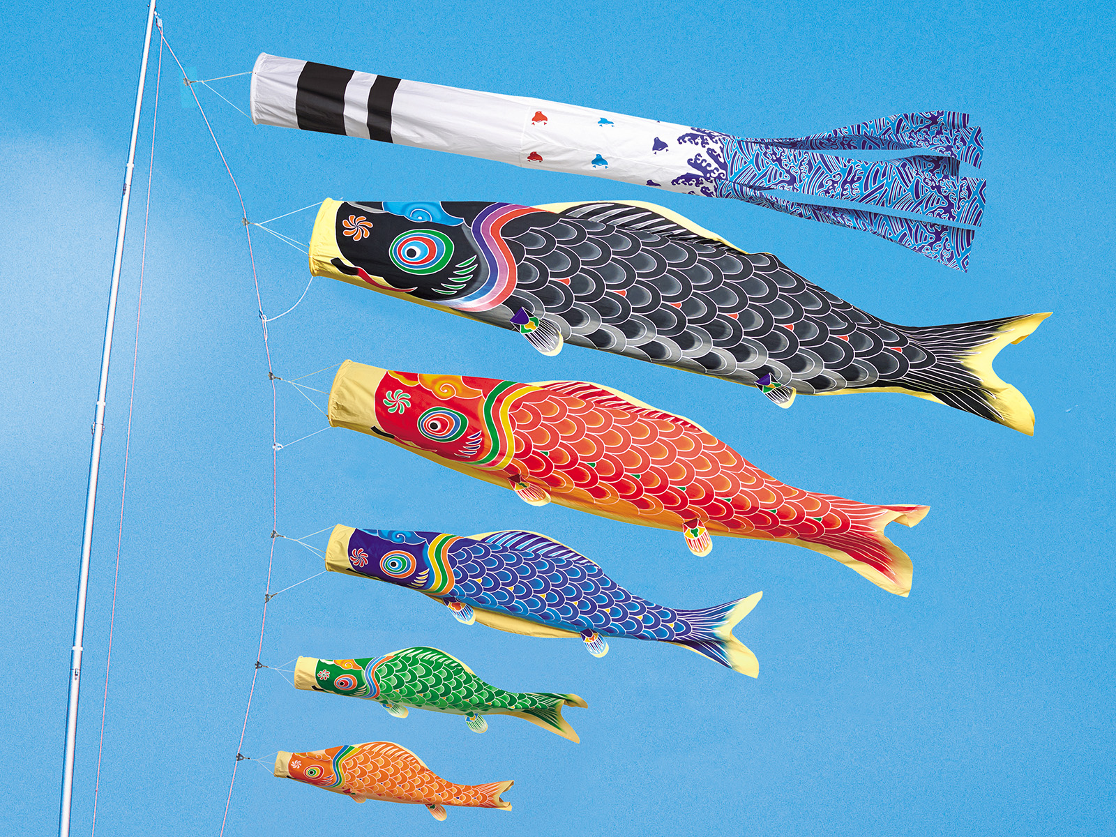 手描き本染め 天 ｜ ワタナベ鯉のぼり