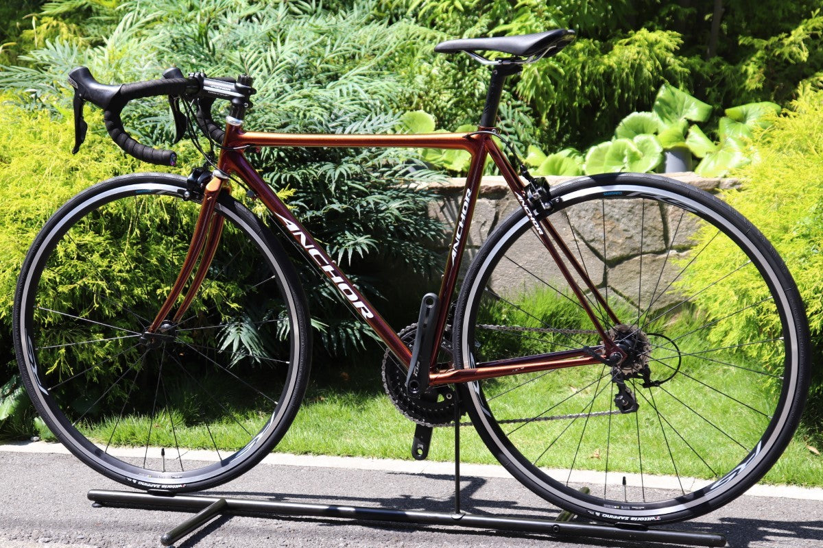 ブリヂストン BRIDGESTONE アンカー ANCHOR RNC7 NEO-COT 2018 520