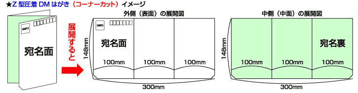 Z型圧着DMはがき（コーナーカット）の商品紹介です｜ウェブプレス