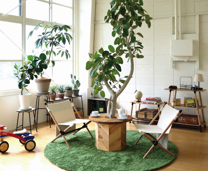 まさにグリーン中心の生活。ハングアウトのプランツテーブルが新鮮