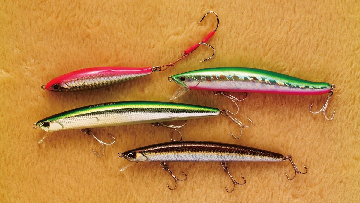 ミノー＆ジグミノーの北海道海サクラマス釣り。 第2回（全3回） | つり