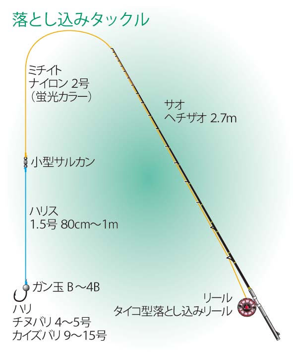 クロダイ（チヌ）釣り入門｜落とし込み釣りのスタートガイド | つり人