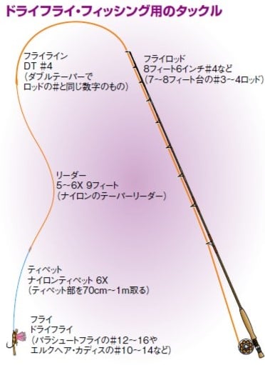 フライ入門は管理釣り場から！ タックルからキャスティングまで紹介し