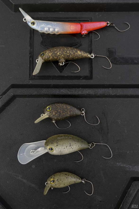 エリアトラウト】世界2位が教えるクランク使い分け術 5つのレンジ攻略